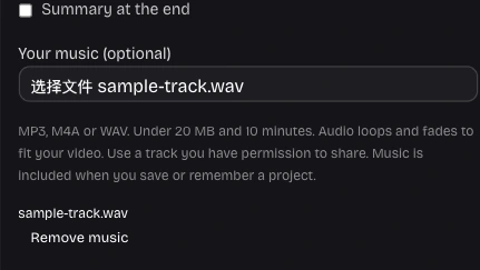 Local music file and track controls in the Timeline Visualizer workspace